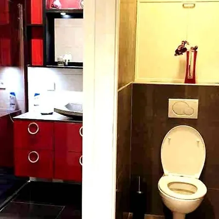 Le Vendome - Loft De Luxe Geneve * Gaillard